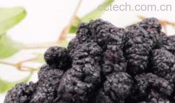 黑肾果怎么使用 黑肾果的食用方法-1