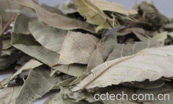 仙灵脾的功效与作用 仙灵脾能治阳痿吗-0