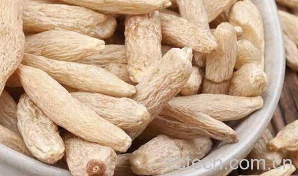 麦冬灯心草的功效与作用-1