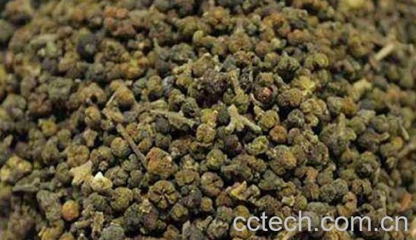 吴茱萸的功效与作用 吴茱萸泡酒的功效-0