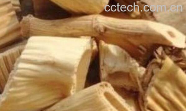 芦根的功效与作用及常见用法-0