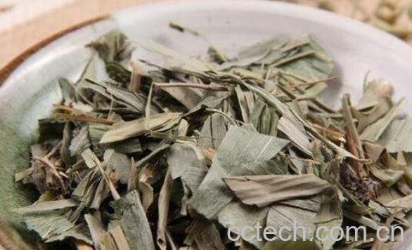 淡竹叶的功效与作用 淡竹叶与竹叶的区别-1