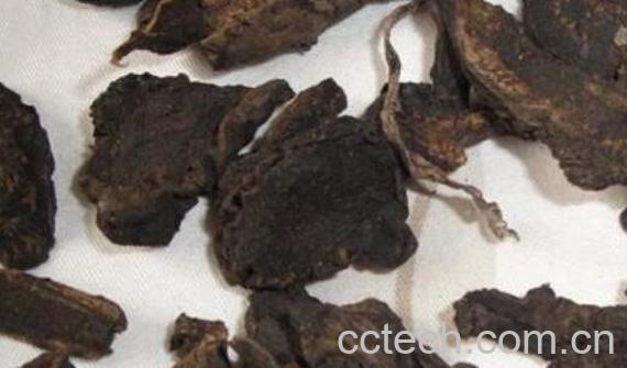 草乌泡酒的功效与作用-0