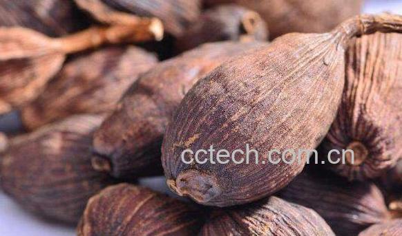 草果的功效与作用及食用方法-0