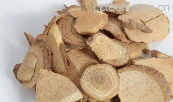 乌药的功效与作用及常见用法-0