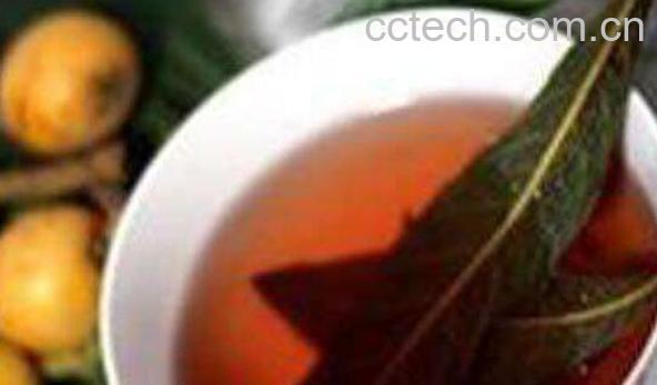 枇杷叶煮水的功效与作用 枇杷叶怎么煮水-0