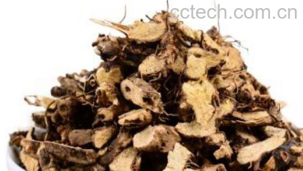 仙灵脾根的功效与作用-0