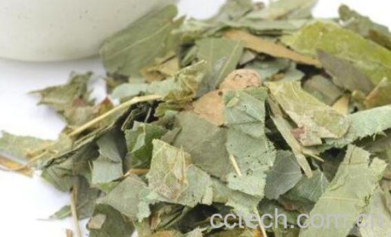 仙灵脾的功效与作用 仙灵脾能治阳痿吗-1