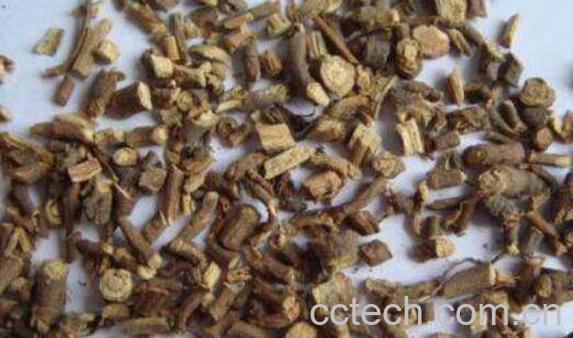 北柴胡的功效与作用 北柴胡怎么鉴别-1