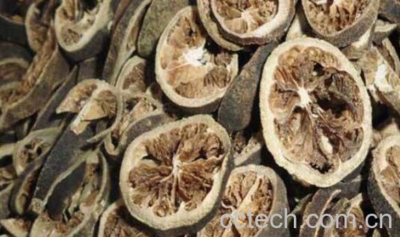 青皮的功效与作用及禁忌-1