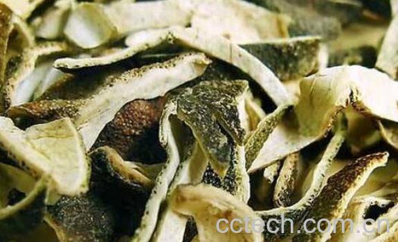 青皮的功效与作用及禁忌-0