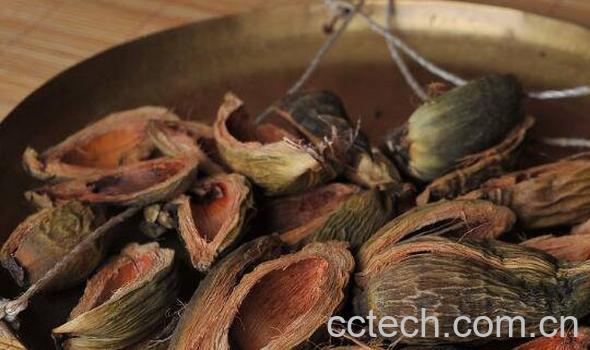 大腹皮的功效与作用及食用方法-1