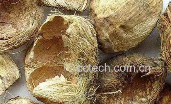 大腹皮的功效与作用及食用方法-0