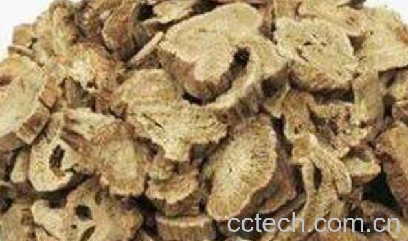 清木香的功效与作用-1