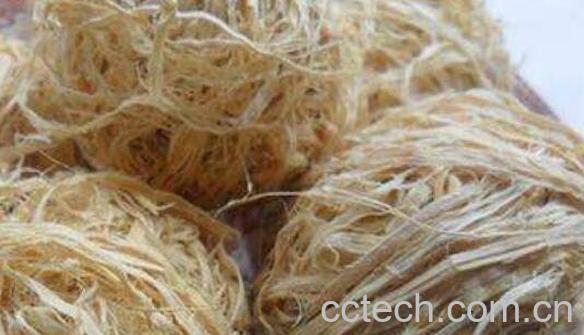 竹茹陈皮的功效与作用-0