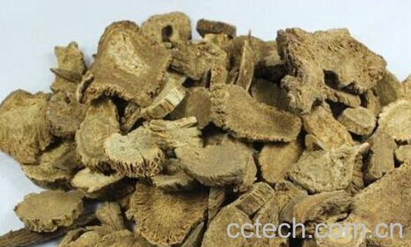 木香的功效与作用 木香的食用方法-1