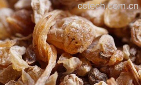 中药薤白的功效与作用-1