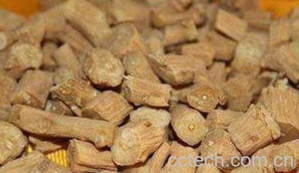 牛七的功效与作用-0