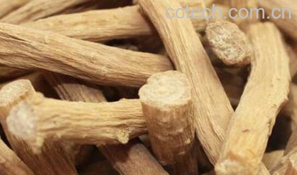 牛七的功效与作用-1