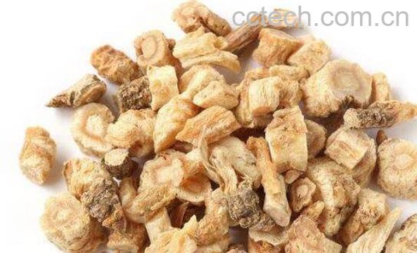 北沙参的功效与作用及药用价值-1