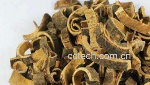 合欢皮的功效与作用及药用价值-0