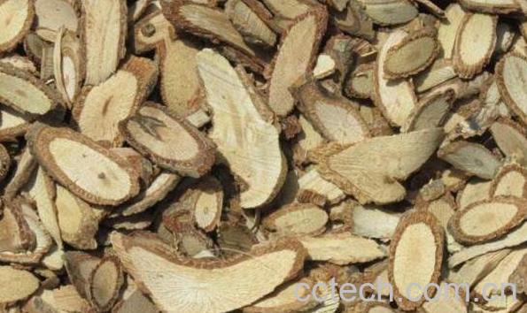 木通的功效与作用及药用价值-1