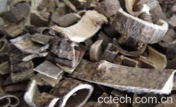 合欢皮的功效与作用及药用价值-1