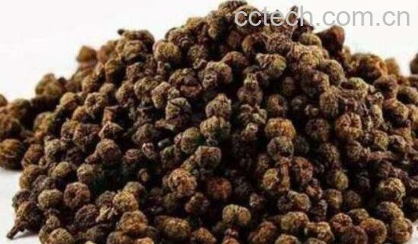 吴茱萸的功效与作用及食用方法-0