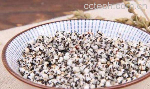 中药王不留行的功效与作用 王不留行怎么吃下奶-0