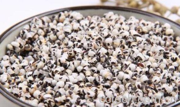 中药王不留行的功效与作用 王不留行怎么吃下奶-1