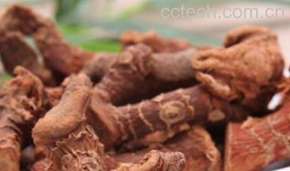 良姜的功效与作用-0