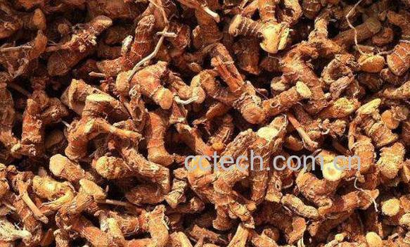 良姜的功效与作用-1