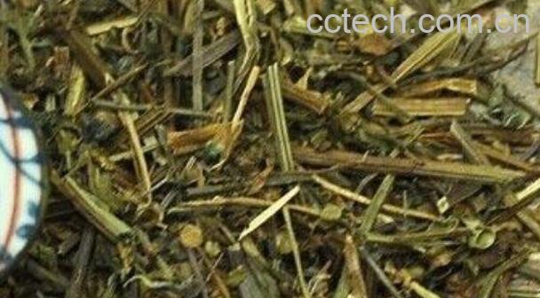 半枝莲膏的功效与作用-1