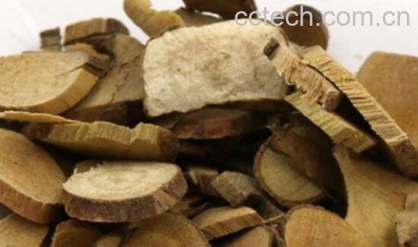 乌药的功效与作用及食用方法-1