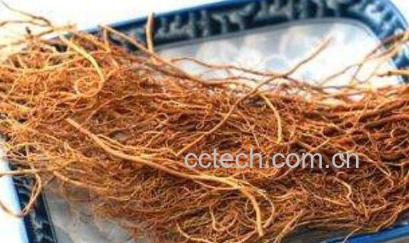 细辛的功效与作用及药用价值-1