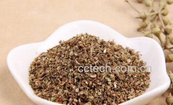 蛇床子的功效与作用及药用价值-0