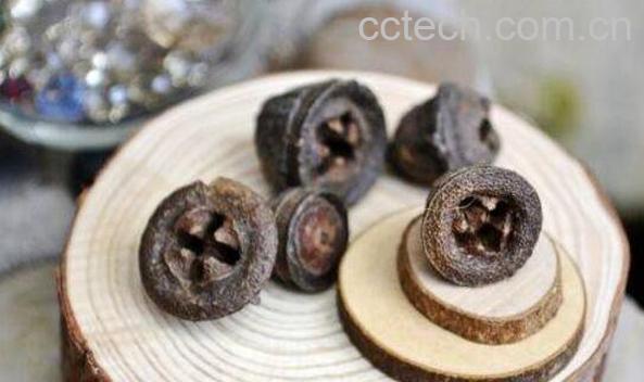 桉树果的功效与作用 桉树果的副作用-1