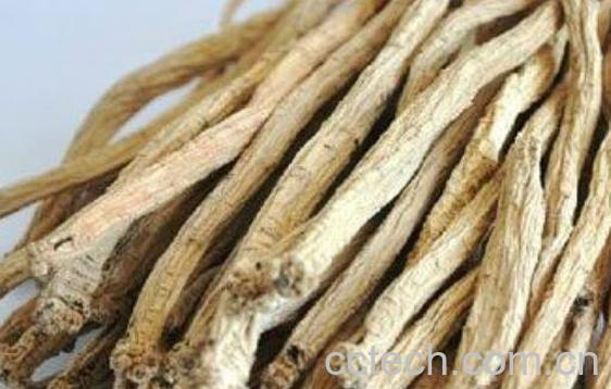 党参怎么吃 党参的功效与作用-0