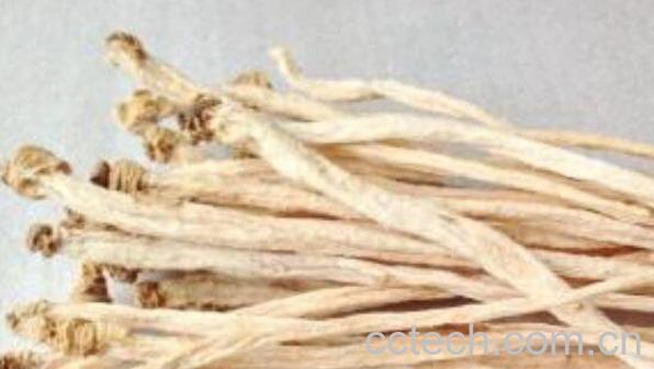 党参怎么吃 党参的功效与作用-1