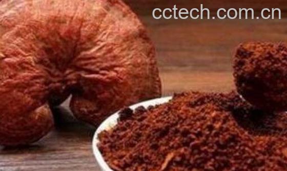 灵芝破壁孢子粉的功效-0