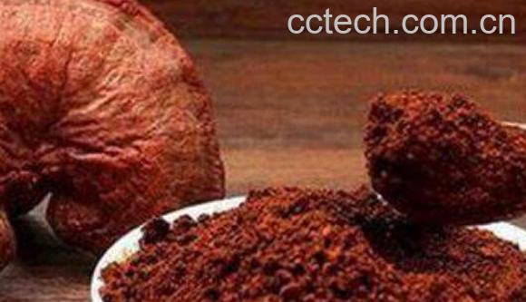 灵芝孢子粉怎么吃 灵芝孢子粉服用方法-0