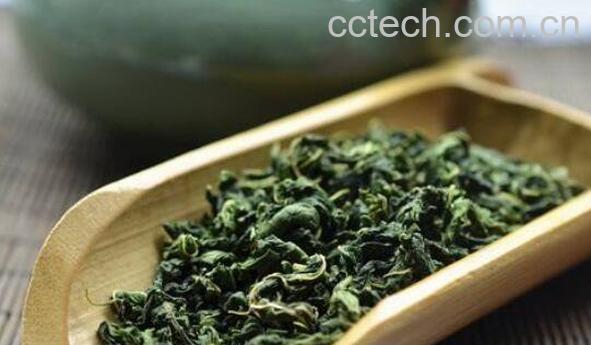 霜桑叶茶的作用与功效-1