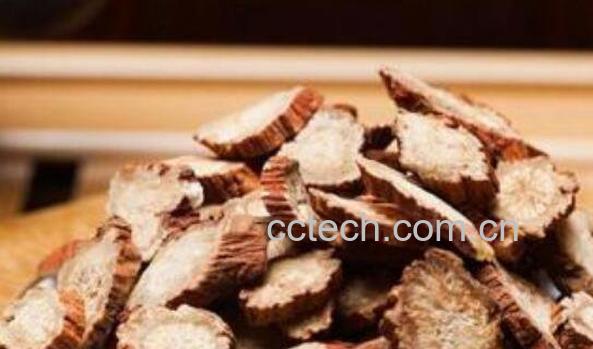  丹参的功效与作用 丹参的副作用-0