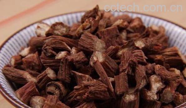  丹参的功效与作用 丹参的副作用-1