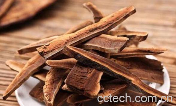 灵芝片的功效与作用-1