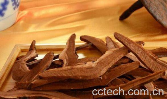 灵芝片的功效与作用-0