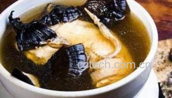 灵芝的功效与作用 灵芝的吃法-1