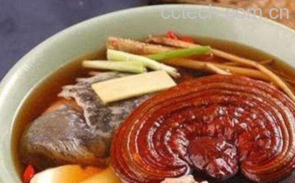 灵芝的副作用及禁忌 灵芝不适合什么人吃-0