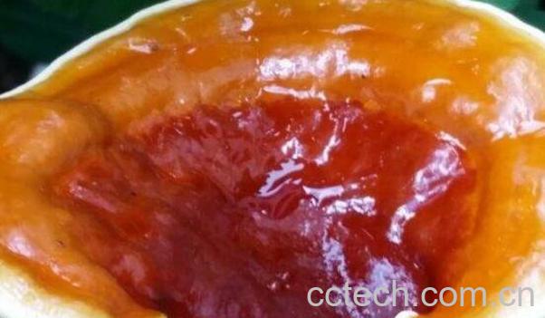 灵芝的副作用及禁忌 灵芝不适合什么人吃-1