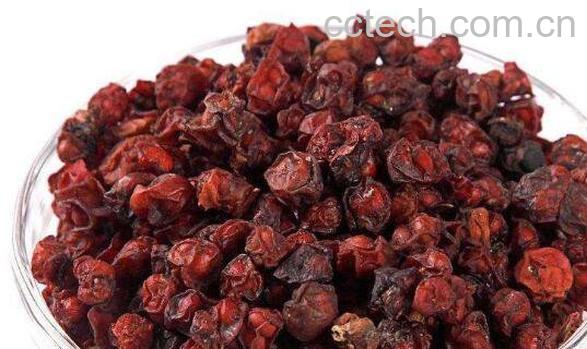 五味子的功效与作用 五味子的副作用-1